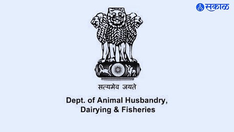 Department of Animal Husbandry