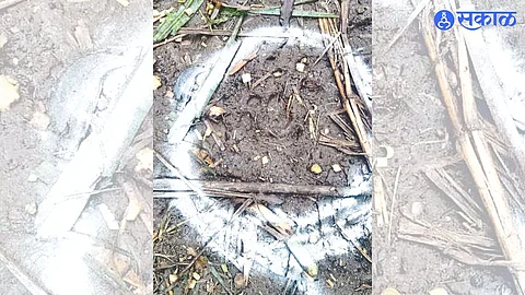 Leopard footprints found in an ashram near Nakane lake