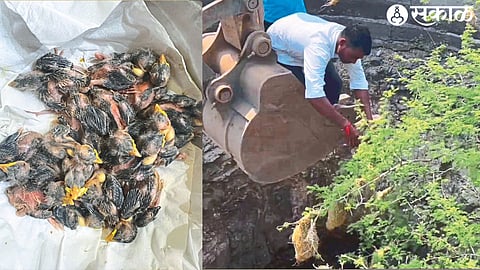 Nitin Bachhao rescues baby birds from the well skull with the help of JCB