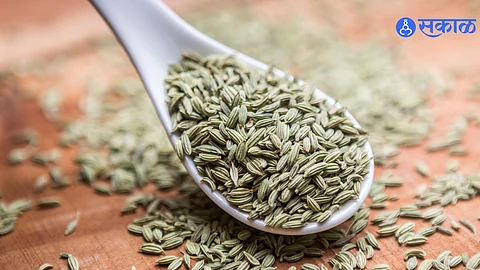 Fennel Seeds