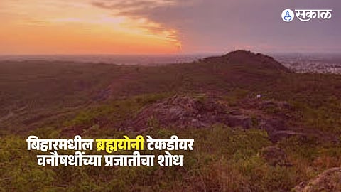 Brahmayoni Hill Gaya