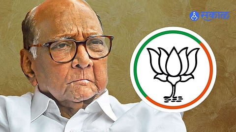 Sharad Pawar: विधानसभा निवडणुकीपूर्वी पवारांचा भाजपला दे धक्का, बड्या नेत्यांचा पक्षात प्रवेश