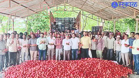 Young farmers of the area looking at pomegranates in Nilesh Pawar's field