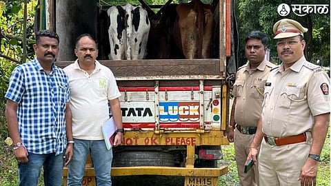 Ozar Police Inspectors Arun Dhanwade, Jitendra Bagul, Vilas Bidgar, BJ Aher with the items seized from illegal cattle traffic.