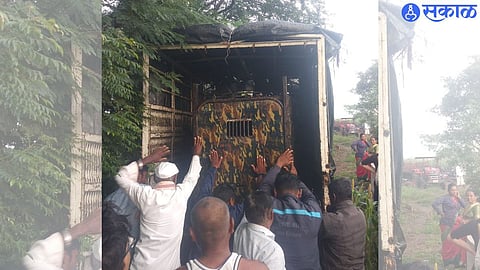 The leopard was finally imprisoned in the cage