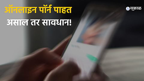 Indian laws and regulations on pornography and sex toys.