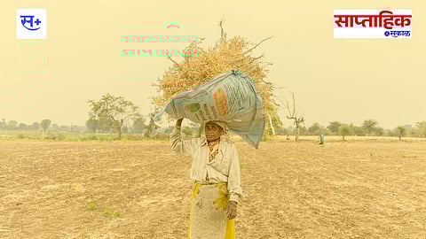 maharashtra agriculture policy