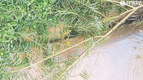 A sewer that has been closed for six years.