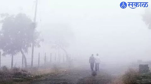 Nashik Fog City
