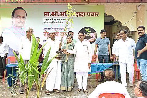 अंजनगावात ८७० फळरोपांचे वाटप