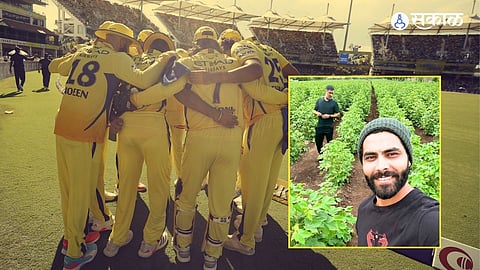 CSK Shares MS Dhoni - Ravindra Jadeja