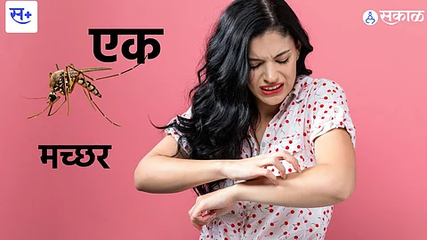 Mosquito Bite & BloodGroup Relation
