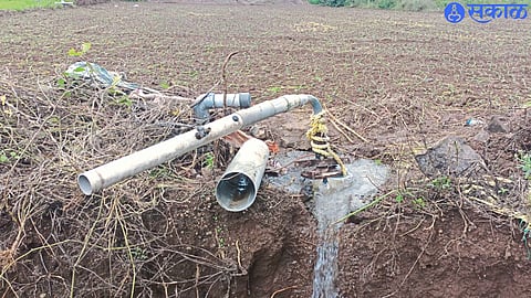 Water flowing from the borewell of farmer Pushpak Shewale here.