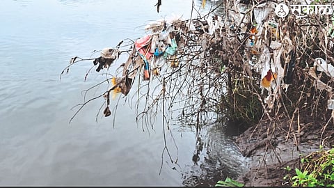 Sewage is being released in Godavari river at various places in this manner