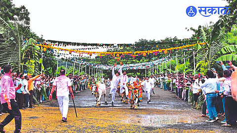 Like every year on Jain Hills, the beehive was celebrated with enthusiasm this year too.