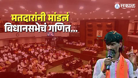 Effect of Maratha Reservation Protest In Maharashtra Vidhan Sabha Election