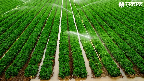 irrigation