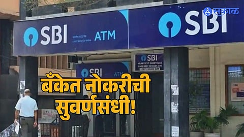 SBI Job Opportunities