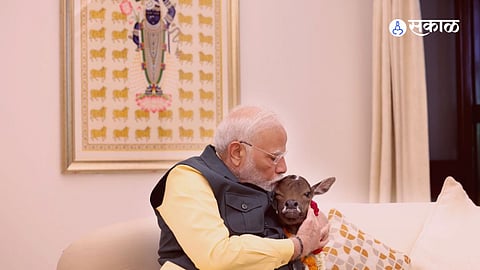 PM Modi Video