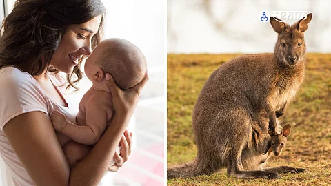Kangaroo Mother Care: