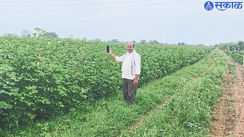 Farmers wandering in the field as e-crop inspection is not required.