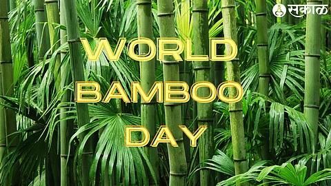 world bamboo day