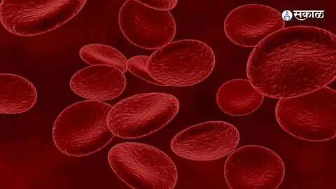New Blood Group: ब्रिटनच्या विद्यापीठात नवीन रक्तगटाचा शोध; पन्नास वर्षांपूर्वीचं गुढही उलगडलं