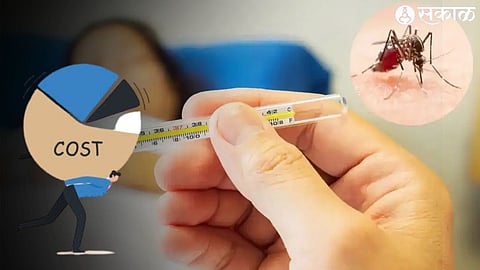 Dengue Disease Expense