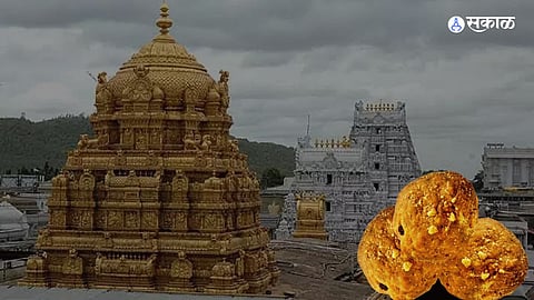 Tirupati Laddu Controversy: 'तिरुपती'च्या लाडूमध्ये चरबी कोण मिसळत होतं? अमित शाहांना लिहिलं पत्र