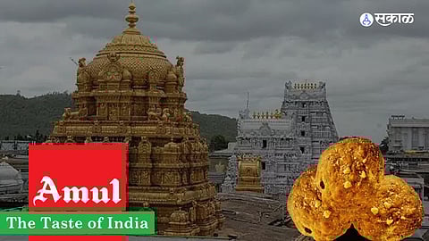 Tirupati Laddu: 'तिरुपती'च्या लाडूवरुन 'अमूल'चं स्पष्टीकरण; म्हणाले, आमचा पुरवठा...