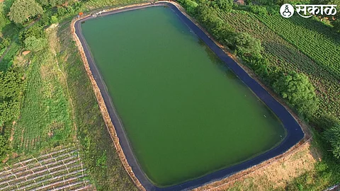 farm water pond