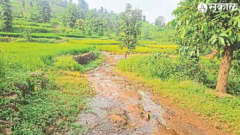 Since there is no road to reach Shendripada at present, the tribal people have to go through these cracks and mud and water.