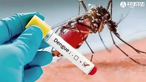 dengue
