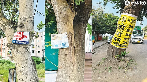 A banner tied to a tree on the Kamtwara Link Road road. In the second photo, a board nailed to a tree. A commercial banner placed in the last photograph.