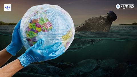 Plastic Eating Fungi