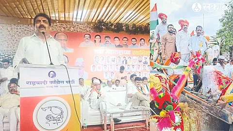 Nationalist Sharad Chandra Pawar group state president Jayant Patil, neighboring MP Amol Kolhe and MP Bhaskar Bhagre driving the bullock cart here during the Shivswarajya yatra.