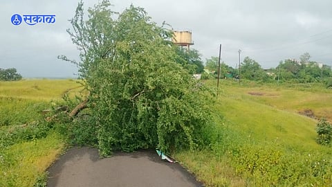 Thane: शहापूरात परतीचा पाऊस, वीज पडून एक ठार; पुलावरून पाणी गेल्याने वहातुक ठप्प