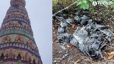 Temple and dead birds