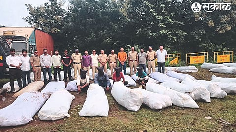Sangvi police with measured ganja and suspects