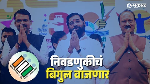 Maharashtra assembly election 2024