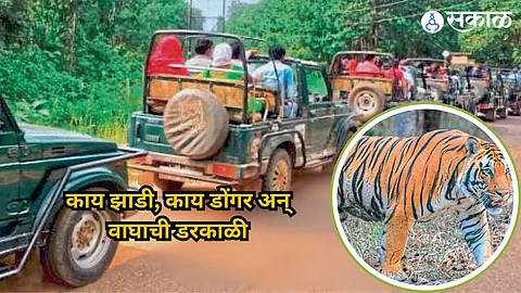 Pench National Park