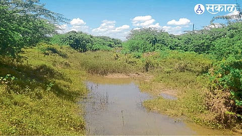 Pathri Water Management