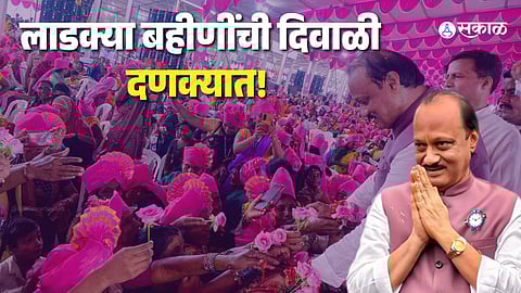 "Ladki Bahin Yojana benefits and features infographic"