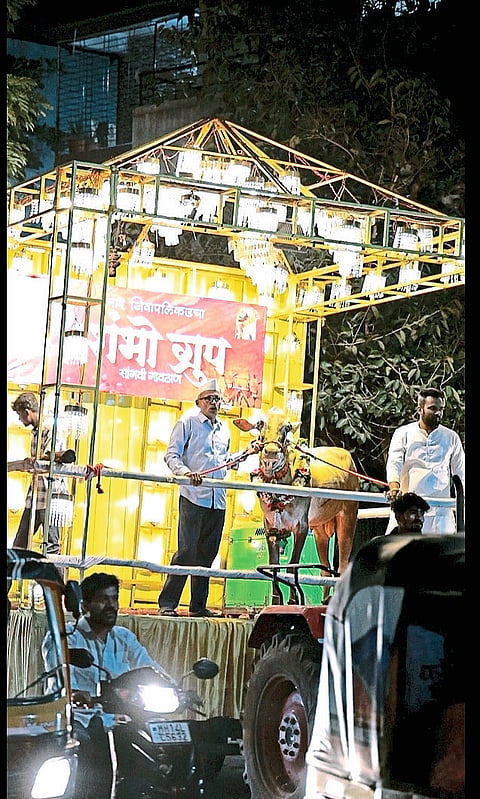रथातून बैलांची मिरवणूक काढत
सांगवीत बैलपोळा साजरा