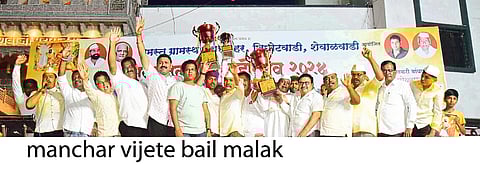 मंचर येथे भंडाऱ्याची उधळण
करत बैलांची मिरवणूक