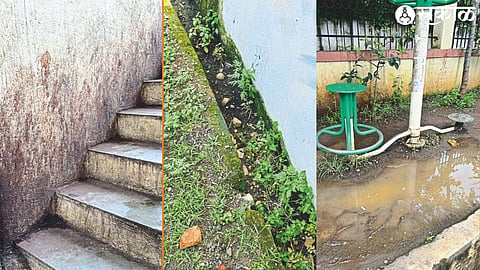Dilapidated auditorium wall. Carrot grass grown in drains. In the fourth photo, the water pooled under the toys.