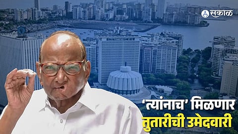 Sharad Pawar-led NCP gears up for Vidhan Sabha Election 2024.