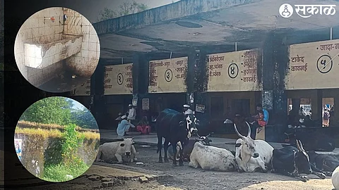 Bus stand sheltered for stray animals, drinking water taps locked & toilets in disrepair and unsanitary condition