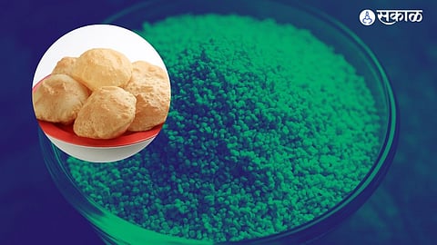 Navratri Fast Recipe: नवरात्रीत बनवा राजगिऱ्यापासून स्वादिष्ट पुरी, नोट करा रेसिपी