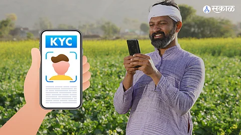 Cotton and Soybean crops kharif season 2023